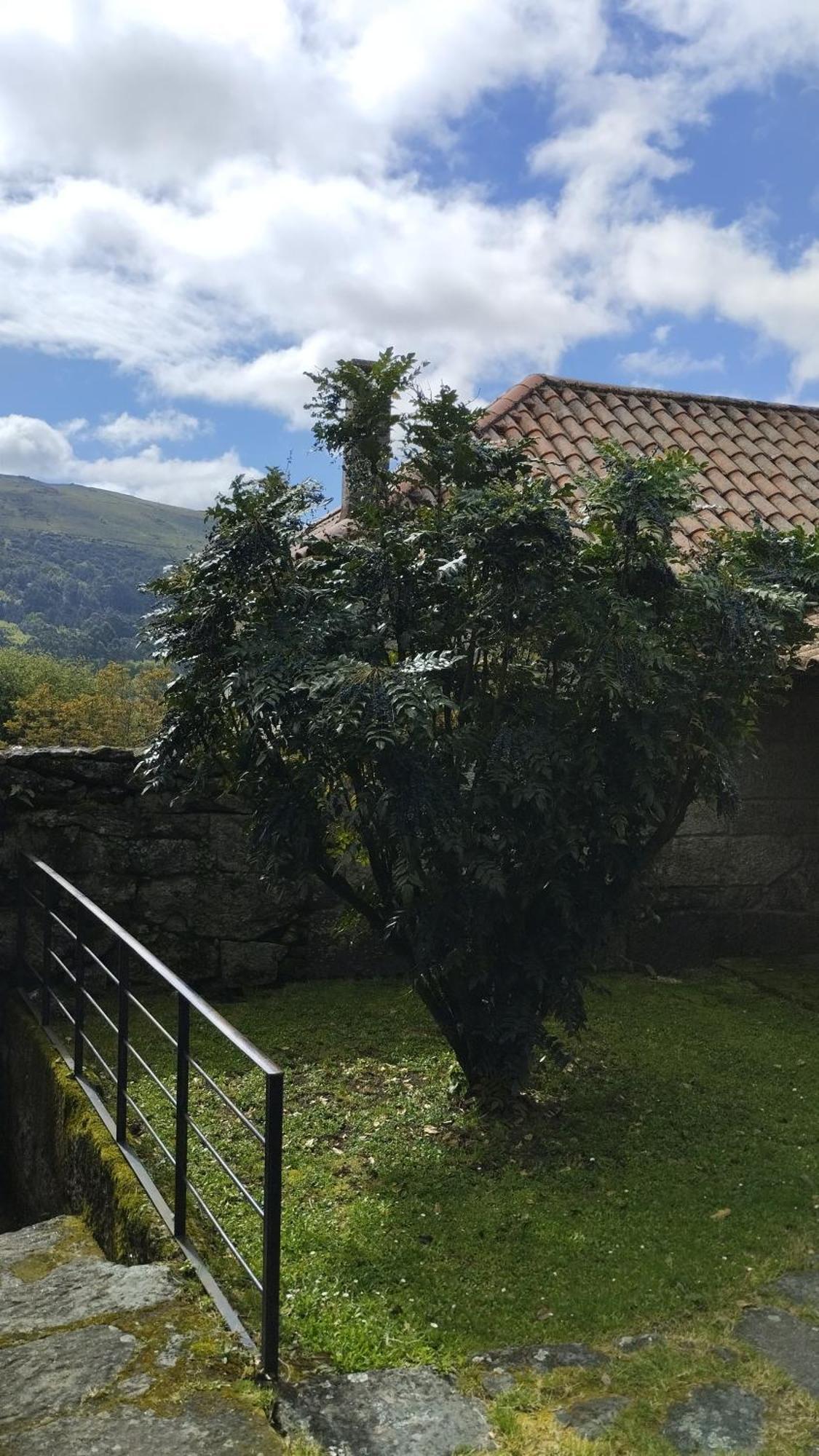 Rectoral De Prado Konuk evi Pineiro  Dış mekan fotoğraf